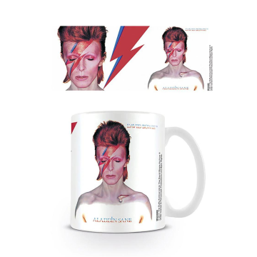 Mok David Bowie_Aladdin Sane_02