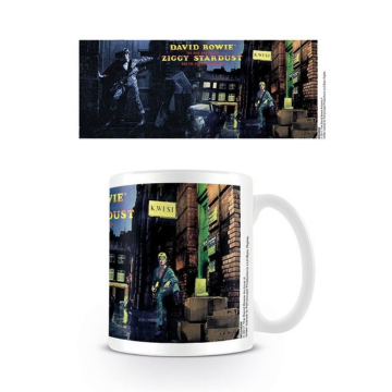 Mok David Bowie - Ziggy Stardust - 02
